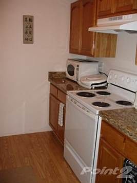 Upgraded Kitchen - Granite