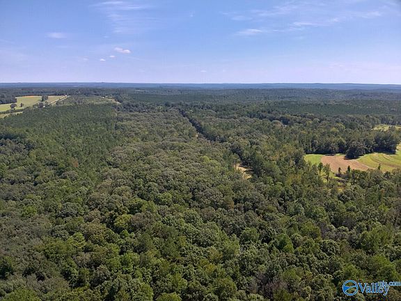 2nd image of 221 Blue Bird Rd