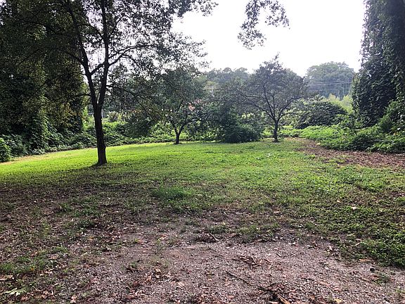 Large back yard. Perfect if you want to garden. There are peach trees in the back, there is a pecan tree and a mulberry tree