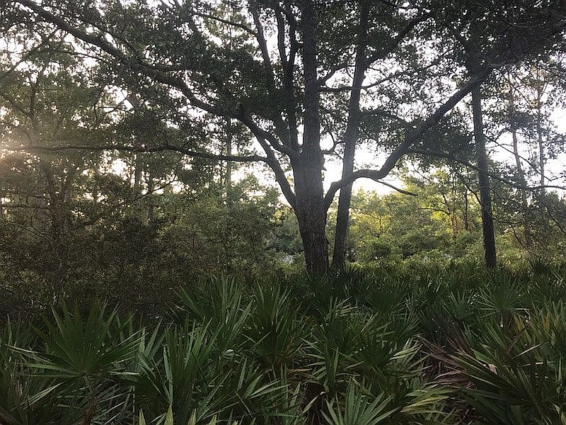 2nd image of 85002 Patricia Ct