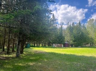 12461 E M 48 Hwy, Goetzville, MI 49736