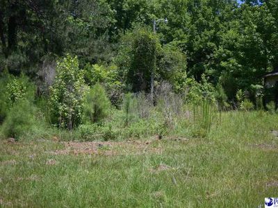 313 Sparks St, Timmonsville, SC, 29161