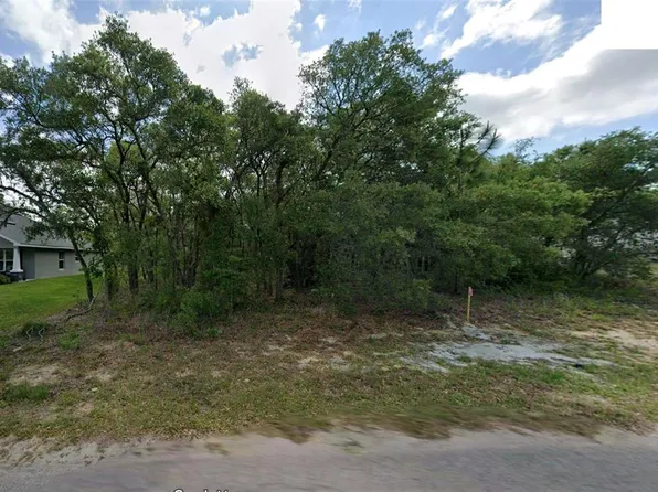 14 Nemesia Ct E Lot 14, Homosassa, FL 34446