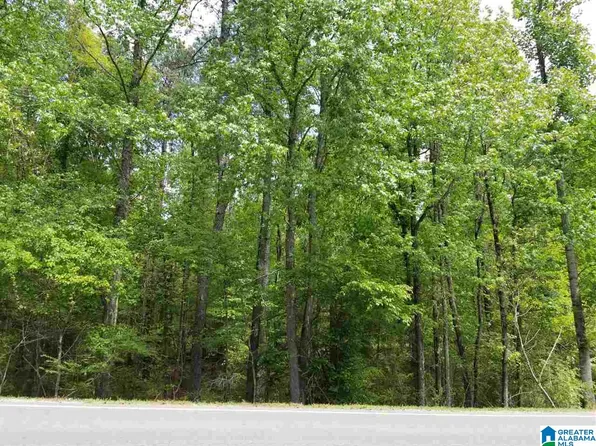 585 Argo Margaret Rd #22, Odenville, AL 35120