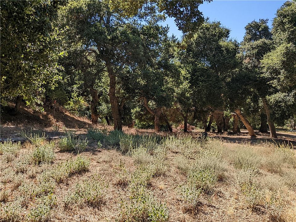 2nd image of 0 San Francisquito Canyon Rd #13