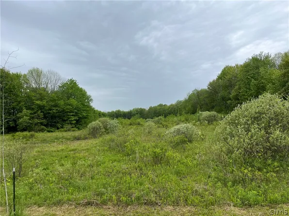 Hong Kong Rd Lot 21, Pulaski, NY 13142