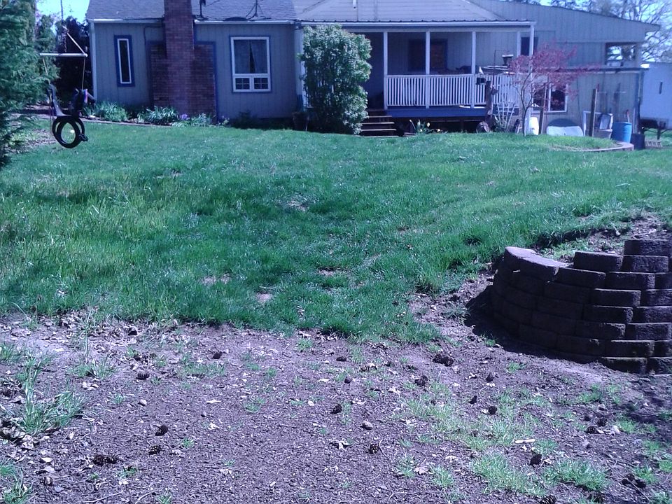 Back of house and yard