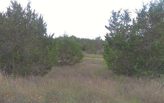 4th image of 2626 Black Bear Dr