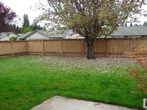 4th image of 16008 NE 76th St