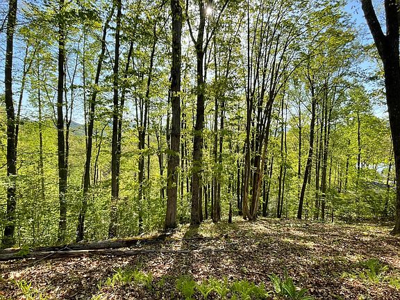 3rd image of LOT 1C Lakewood Dr