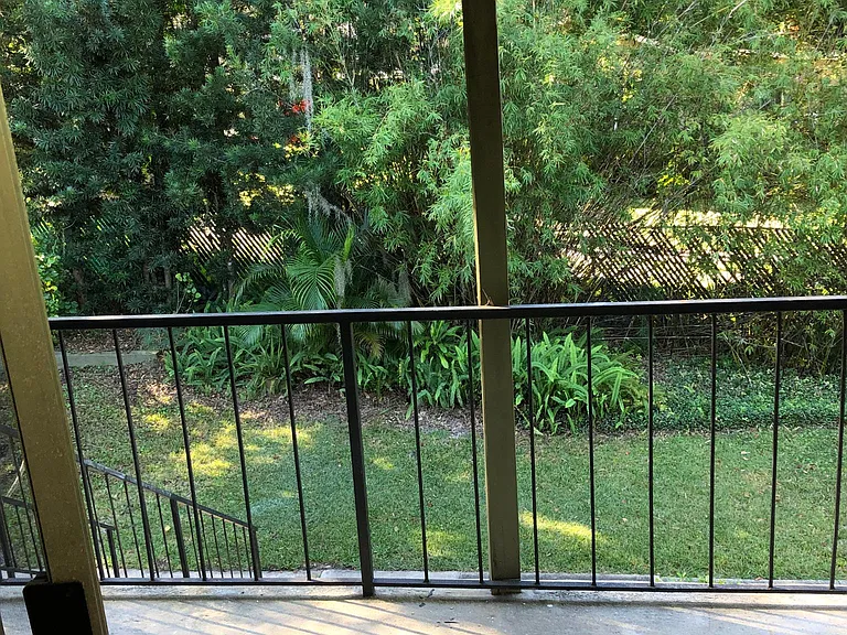 View of backyard
