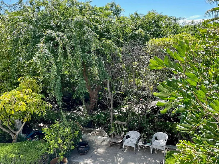 1323 N Olive Dr — Photo 11