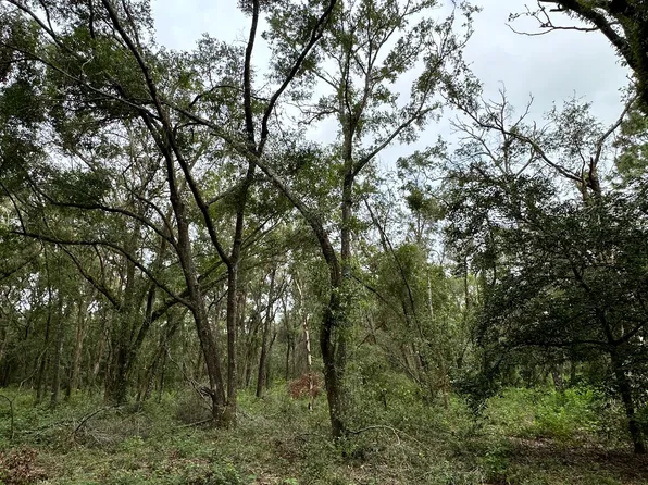 LOT 1 208th St, O'Brien, FL 32071