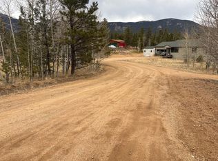 305 Bristlecone Cir, Bailey, CO 80421