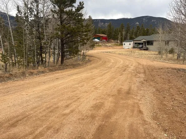 305 Bristlecone Cir, Bailey, CO 80421