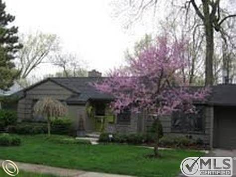 Many flowering trees.jpg