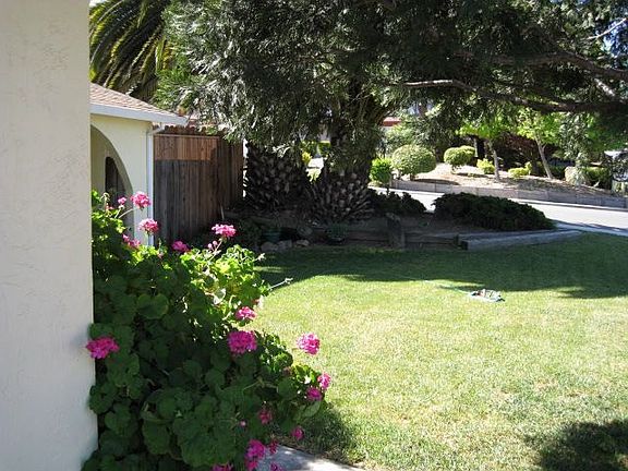 Front Yard Picture #2