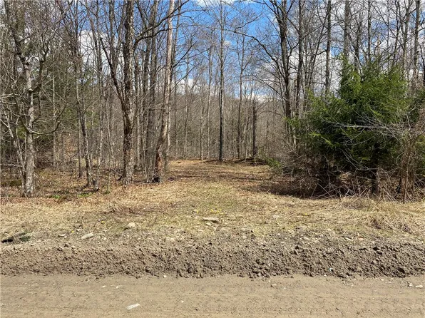 Methol Rd #8, Roscoe, NY 12776