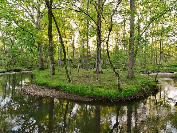 View from across the creek