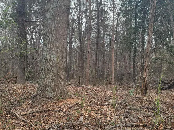 Thompson Dr, Greenville, SC 29607