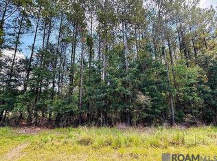 4 Highway 449, Pine Grove, LA 70453