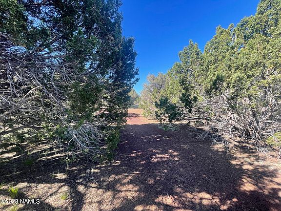 5th image of 1340 E Galewood Dr