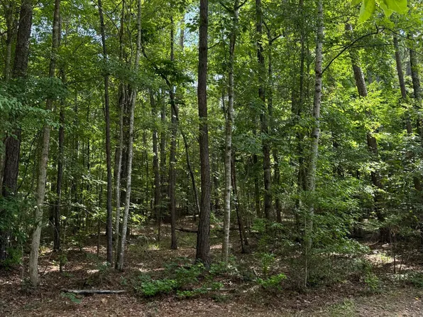 27 Chinquapin Pass, Dadeville, AL 36853