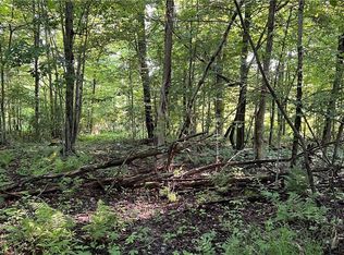Orchard St, Andover, OH 44003