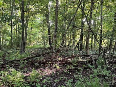 Orchard St, Andover, OH, 44003