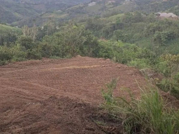 Carr568 Bo Palmarito, Corozal, PR 00783