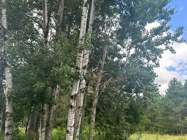 0000 Scott Dr, Spooner, WI 54801