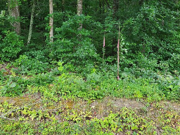 4th image of 235 County Rd Lot 2