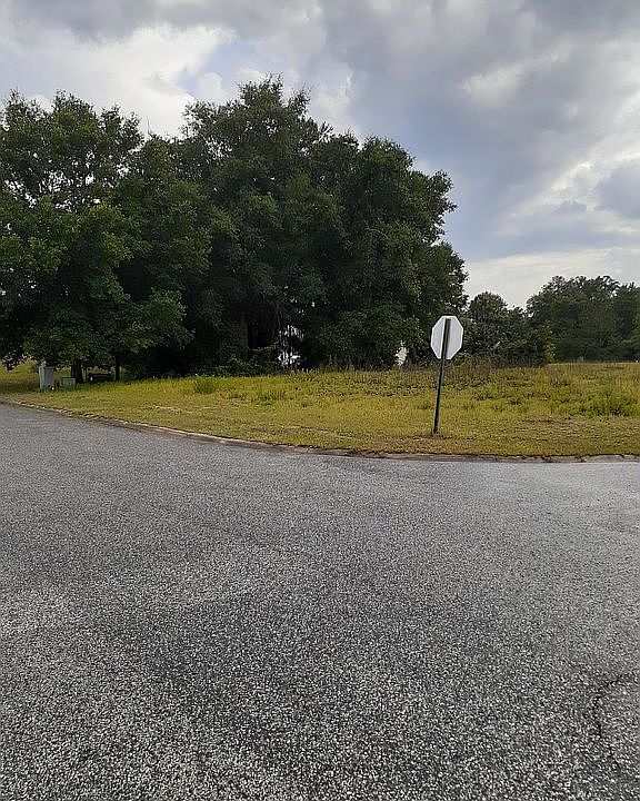 0 Village Dr, Welaka, FL 32193 Zillow