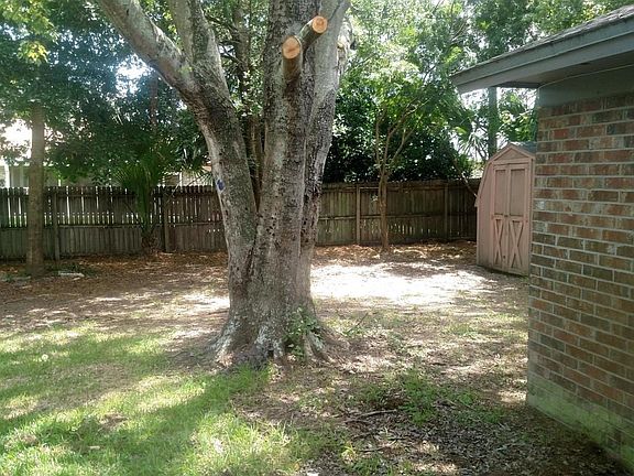 Lana backyard 1 2016