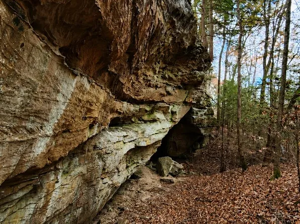 3101 Hazel Patch Rd, East Bernstadt, KY 40729