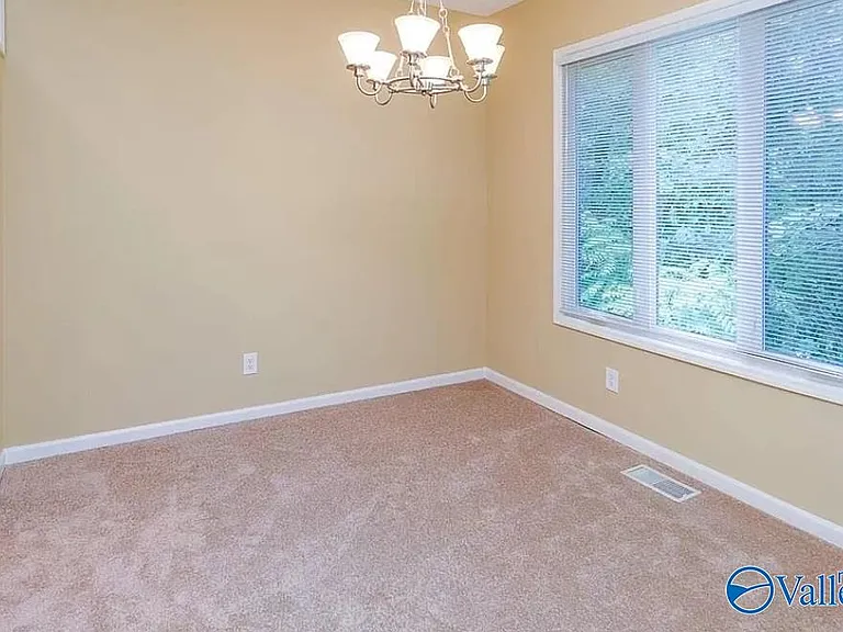 207 Mountain Ridge Dr #4 — Photo 13