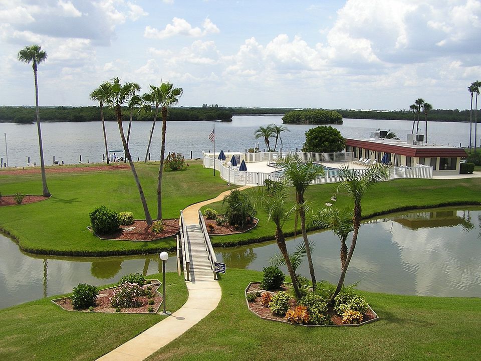 Watch dolphins and Manatees play!