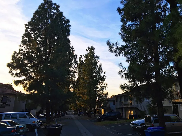 3500 Rainbow Ln — Photo 12