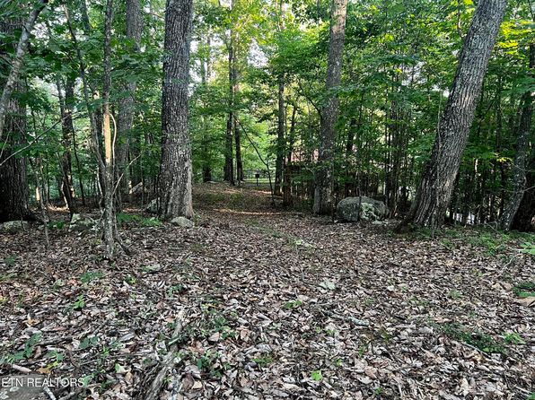 626 Chimney Rock Rd, New Tazewell, TN 37825