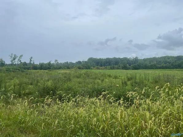 4 Loggins Rd, Athens, AL 35614