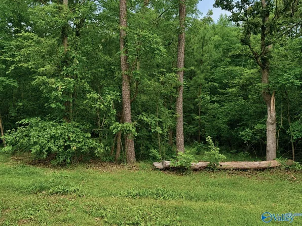 34 County Road 608, Cedar Bluff, AL 35959