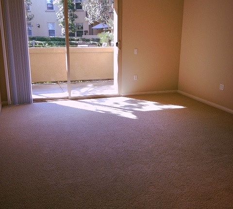 large sliding door lets in light