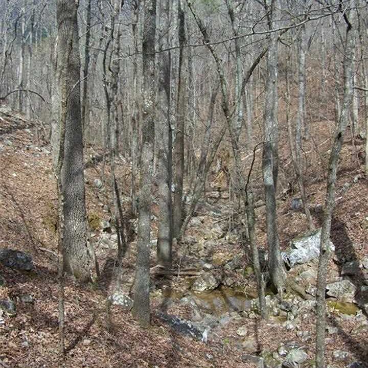 1st image of Tract 4 Little Bear Ln