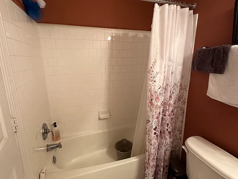 13613 Hollow Log Dr #BASEMENT — Photo 7