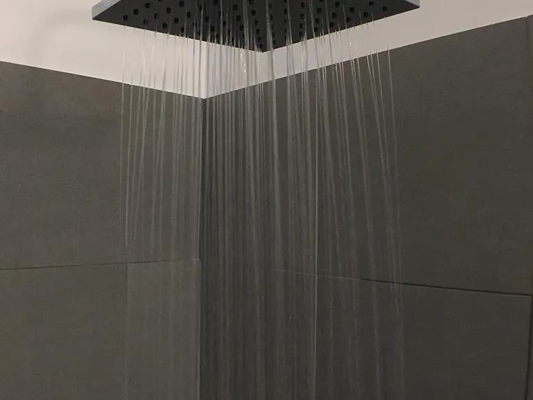 Shower Master Bathroom