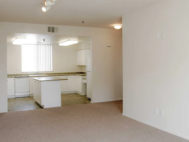 Living Room and Island Kitchen