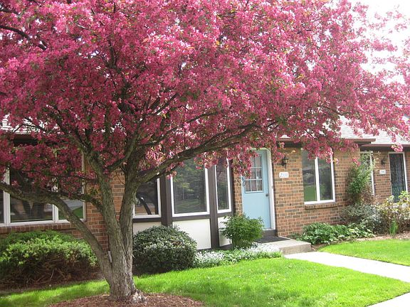 2nd image of 2338 Radcliff Village Dr SE #17