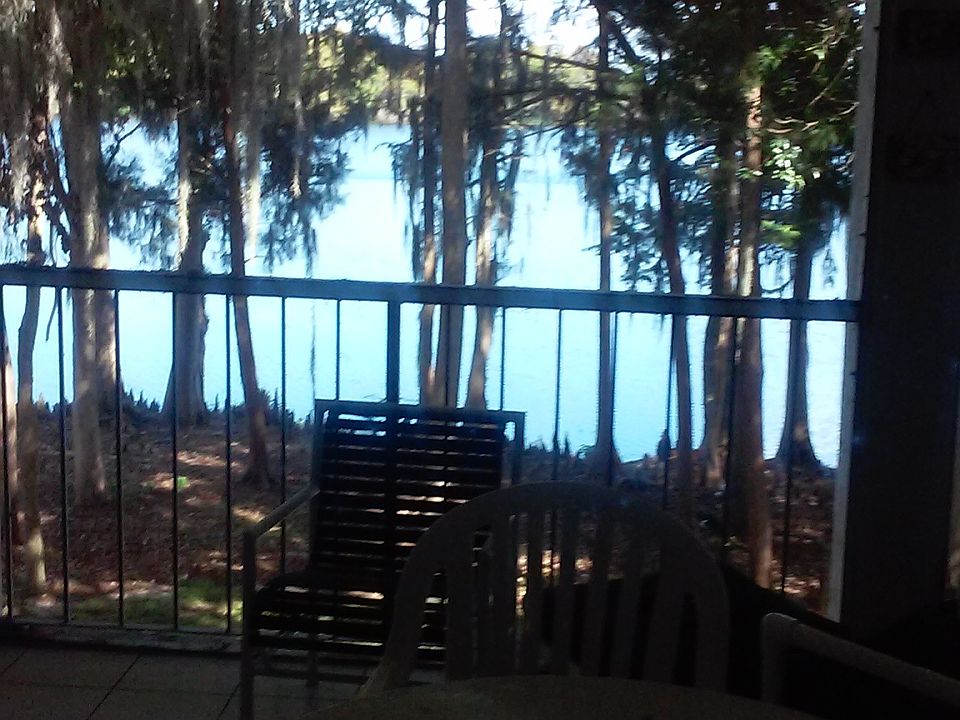 view from living room