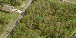 2906 W Camilo Dr, Citrus Springs, FL 34434