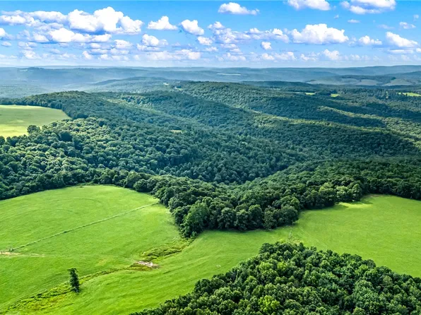 0 Dabney Rd, Jerusalem, AR 72080